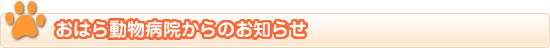 ���͂瓮���a�@����̂��m�点